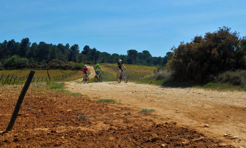 Zuid-Frankrijk - Riols/Saint Pons de Thomieres